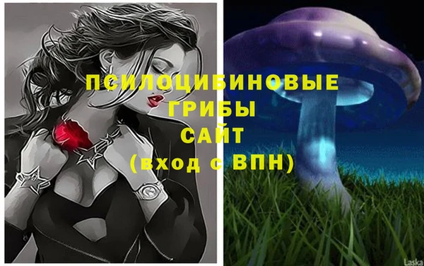 МДПВ Алексин