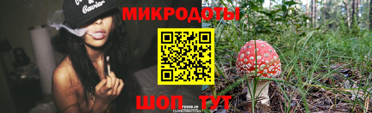 Галлюциногенные грибы Magic Shrooms  Вход с VPN  Галлюциногенные грибы Magic Shrooms  Тихвин 